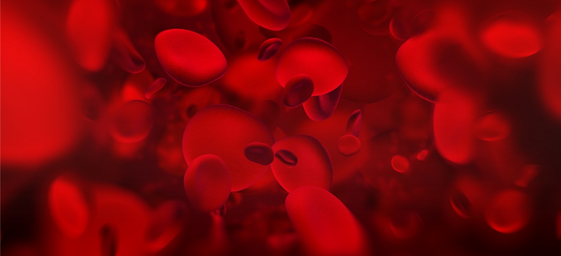 Faire connaître l’hémochromatose génétique