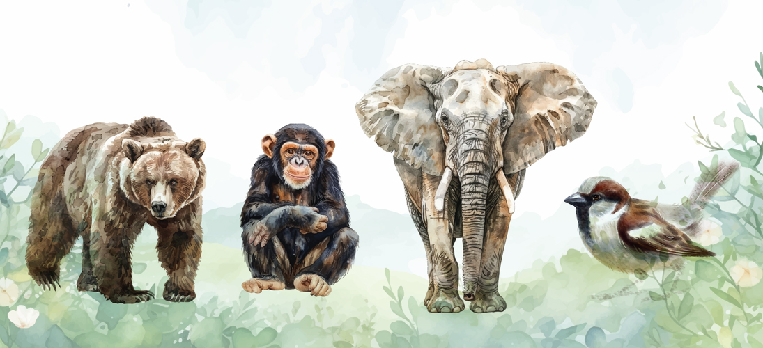 Quand les animaux se soignent, aussi !