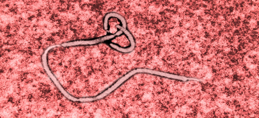 Ebola : ce qu’il faut savoir de l’épidémie